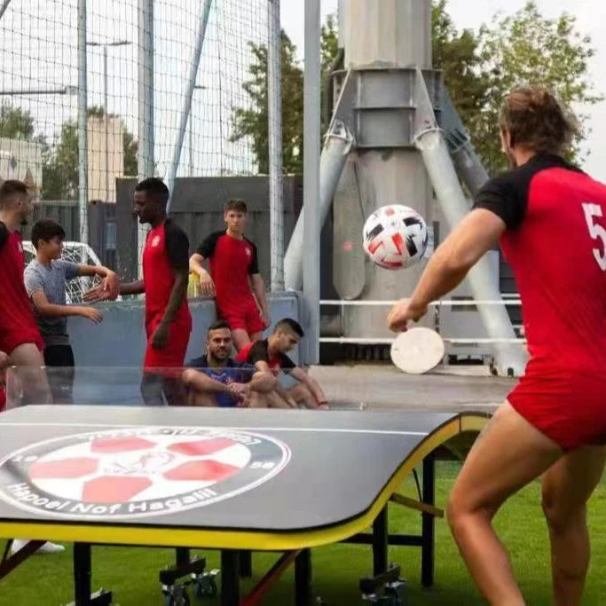 Best Quality Indoor Folding Teqball Table