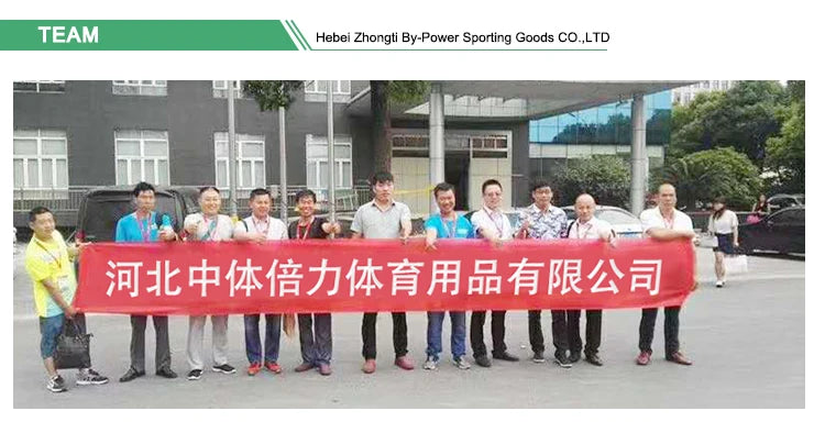 Best Quality Indoor Folding Teqball Table