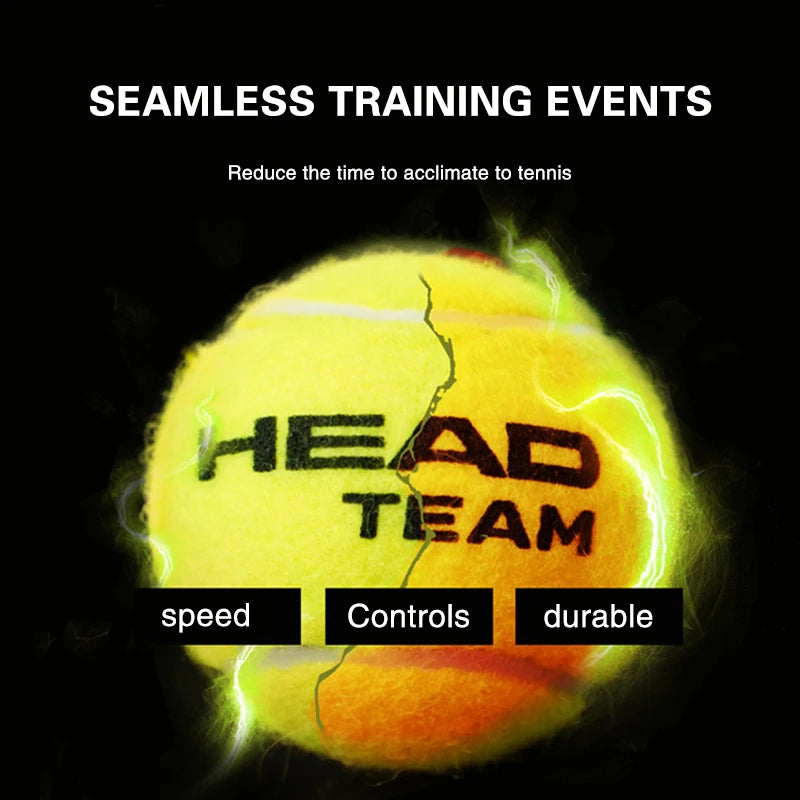 HEAD Professional Tennis 4B TEAM 3 Tour X Training Ball T 3B Pro Match Balls High Elasticity Resistant Durable Excesice Tennis